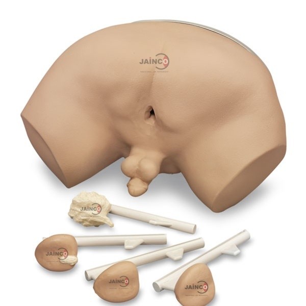 Prostate Inspection Model
